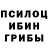 Галлюциногенные грибы MAGIC MUSHROOMS Tolib Kaibhanov