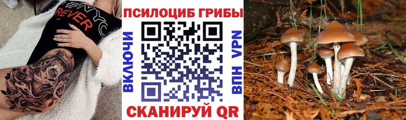 Псилоцибиновые грибы Magic Shrooms  сколько стоит  Трубчевск 