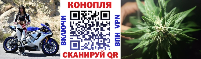 Бошки Шишки SATIVA & INDICA  продажа наркотиков  Трубчевск 